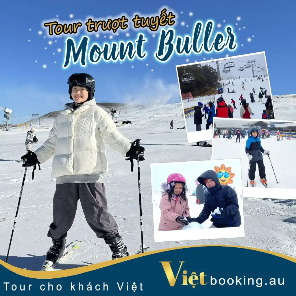 Trượt tuyết núi Buller