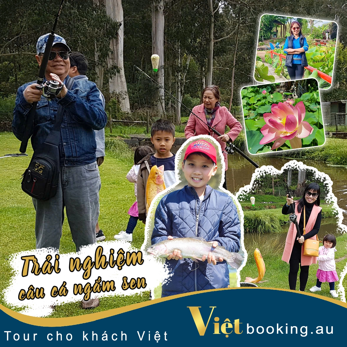 Trải nghiệm câu cá ngắm sen