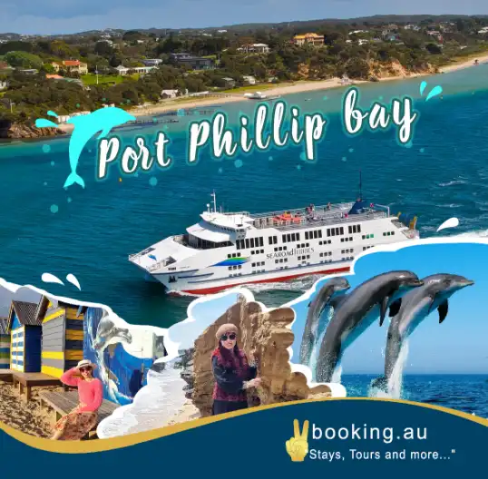 Around Port Phillip Bay - Dolphin Watching