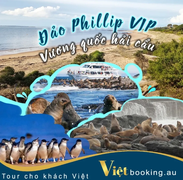 Phillip Island VIP Tour - Seal Kingdom